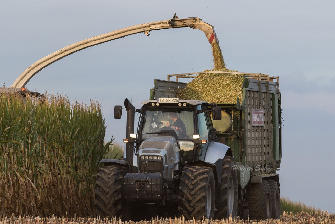 Bild 134 - Maisernte 2016